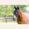 EquiFit Essential FlyMask