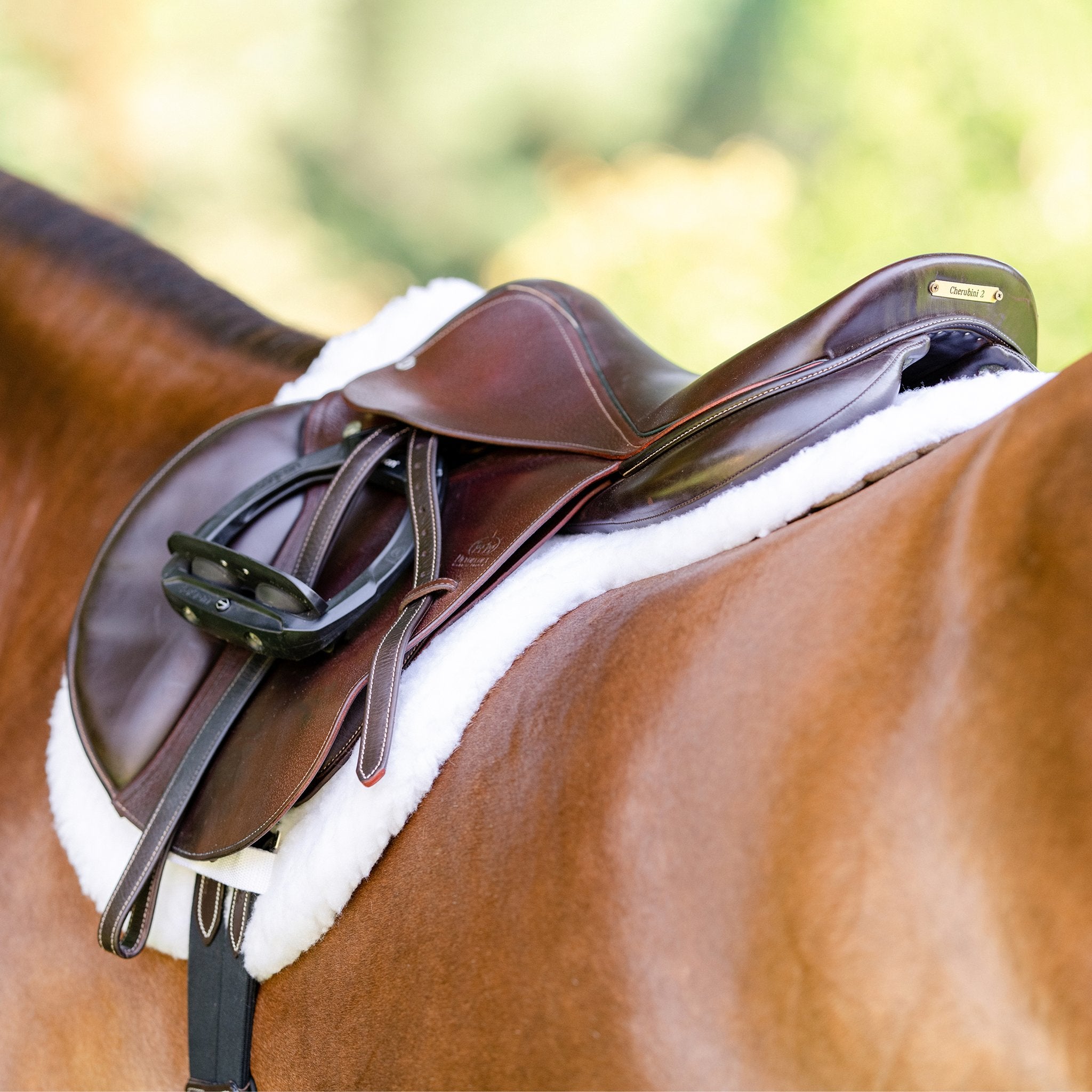EquiFit Essential Hunter Pad - White