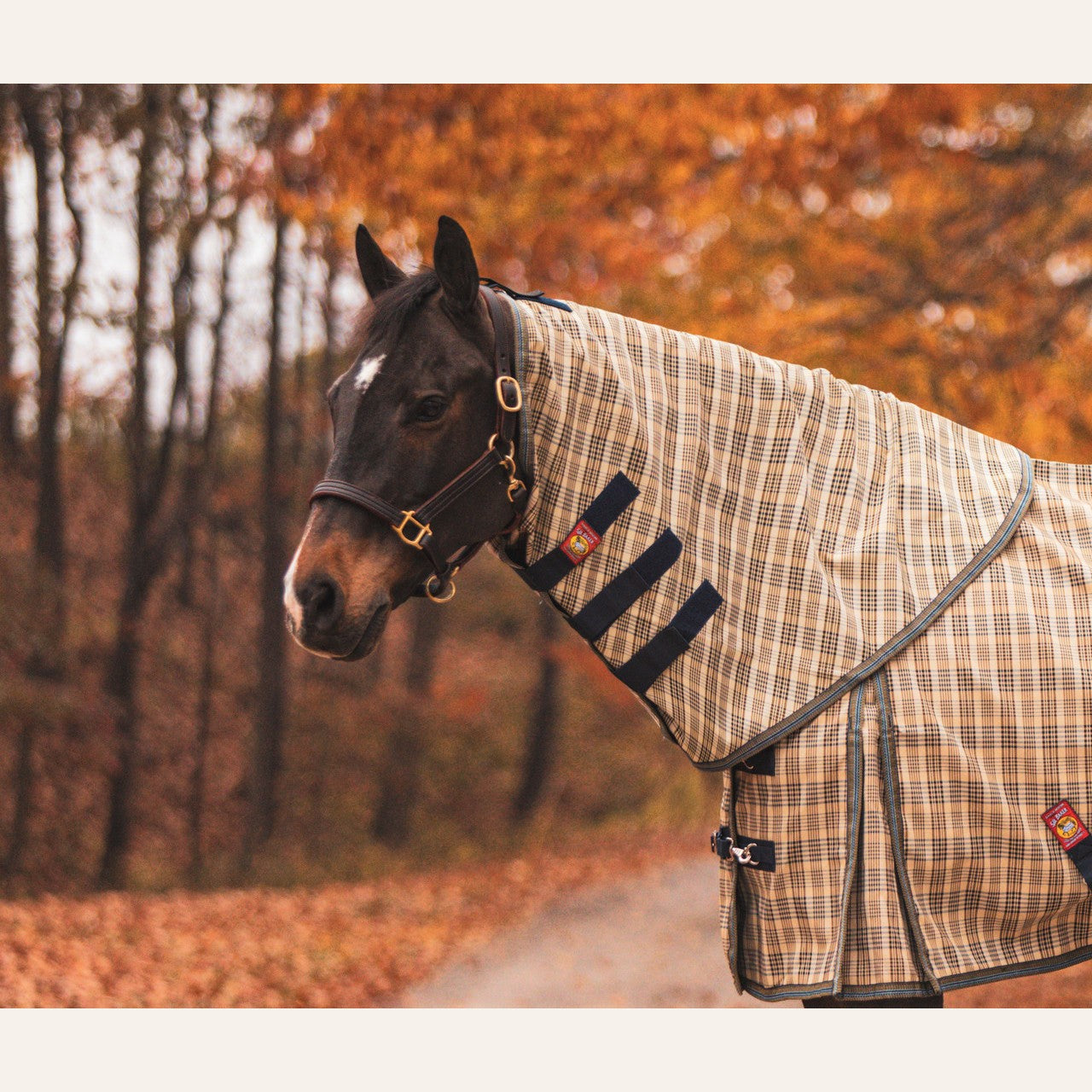5/A Baker Neck Cover for Turnout Sheet