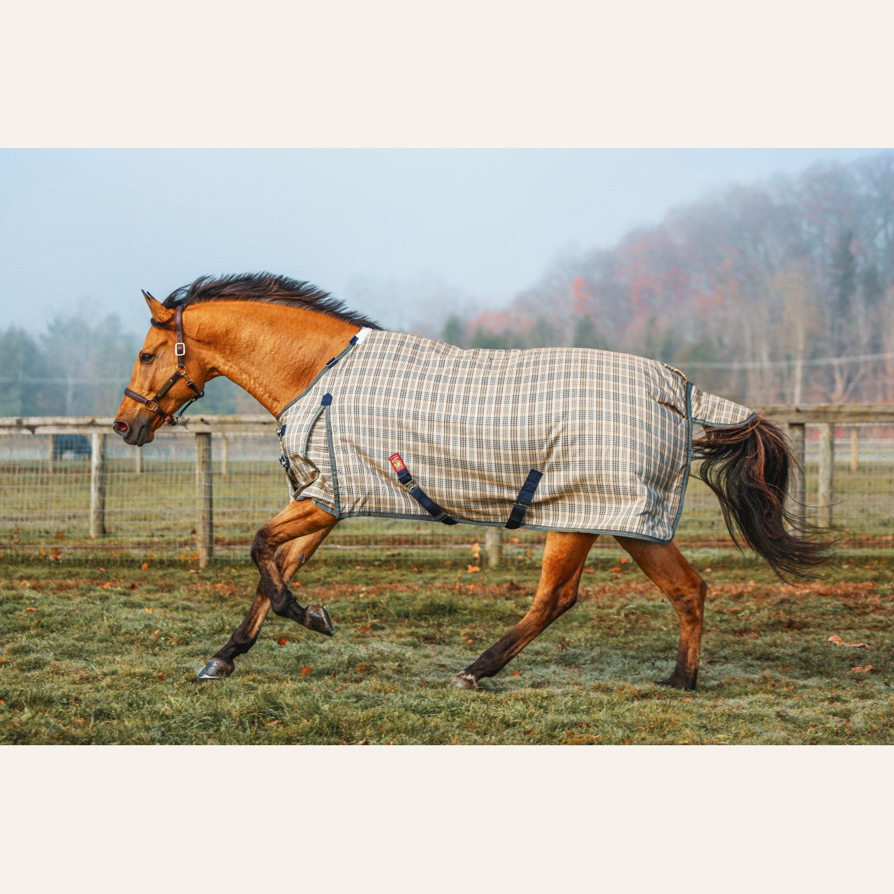5/A Baker Turnout Blanket 400g