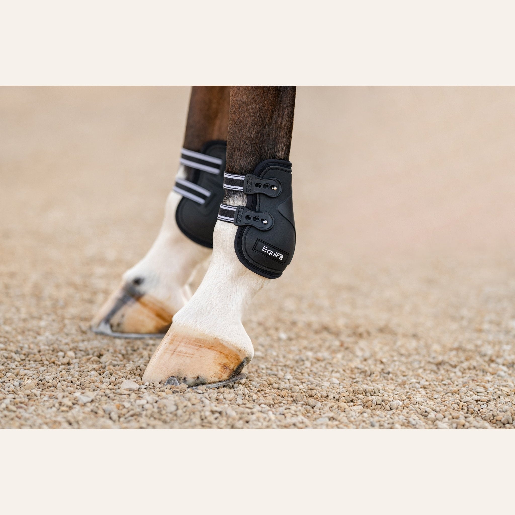 EquiFit Prolete Hind Boot - Elastic Straps