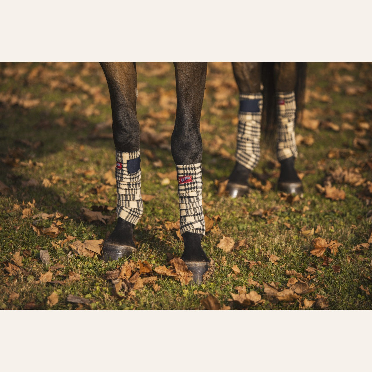 5/A Baker Bakerfleece Polo Bandages