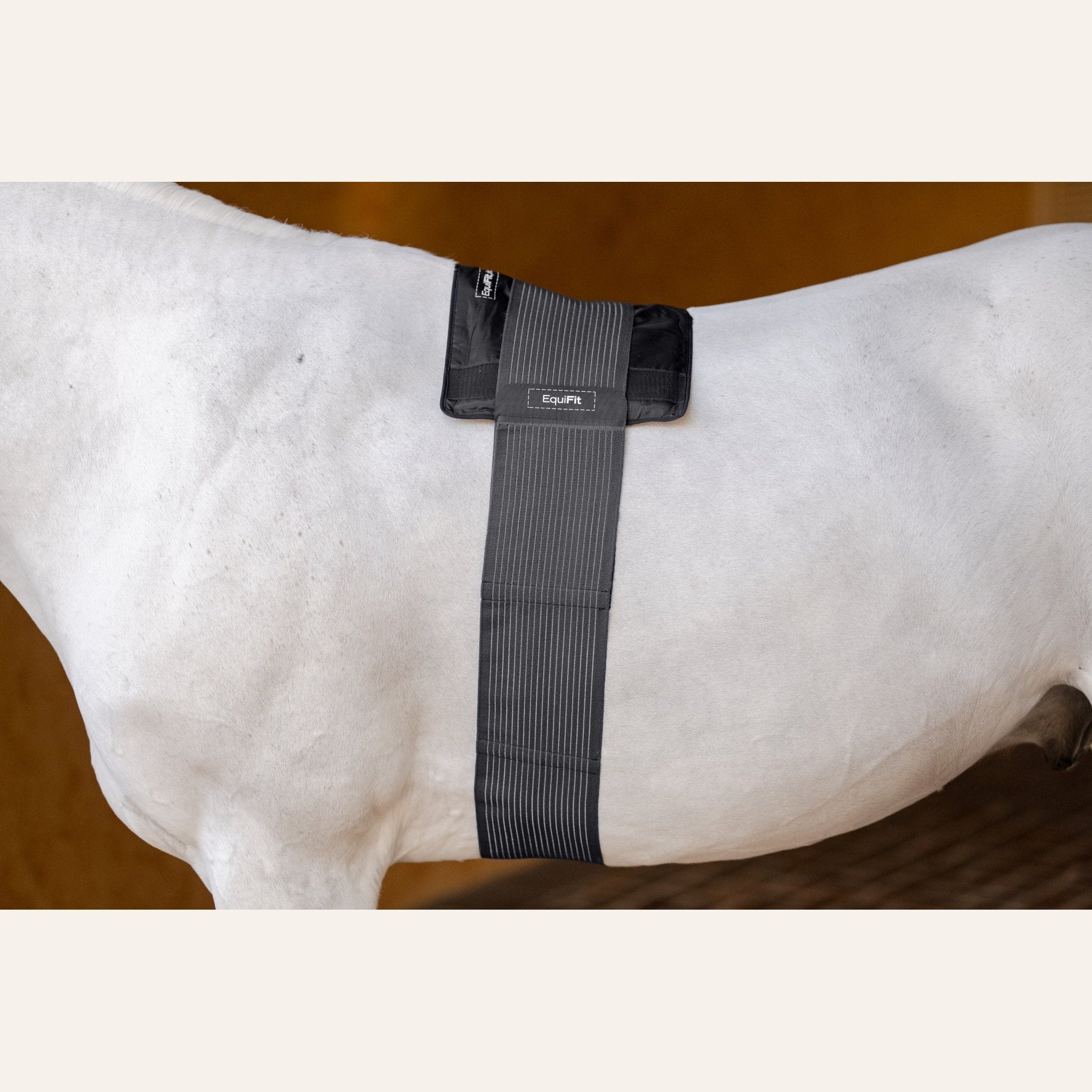 EquiFit Hot/Cold Therapy BackPack