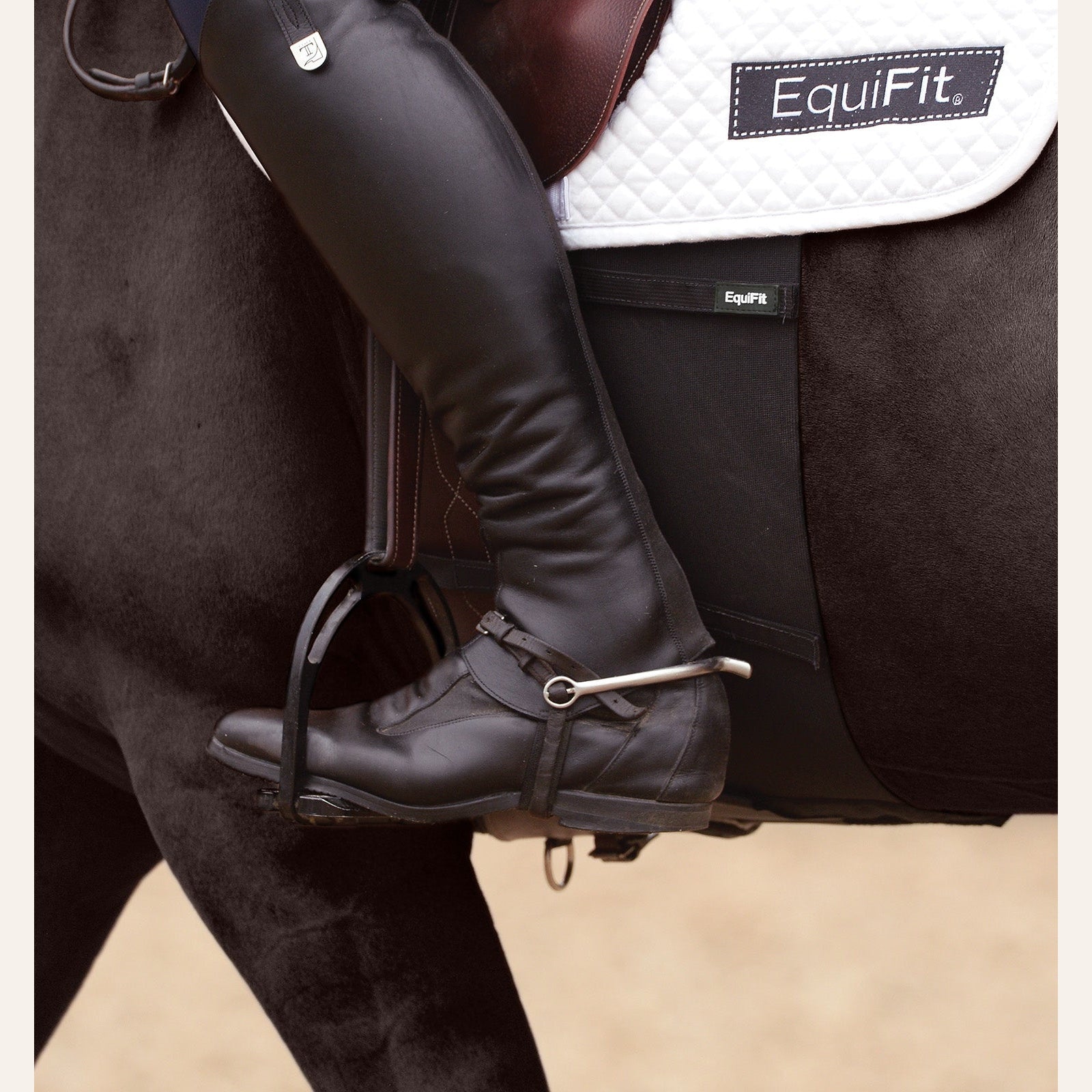 EquiFit BellyBand