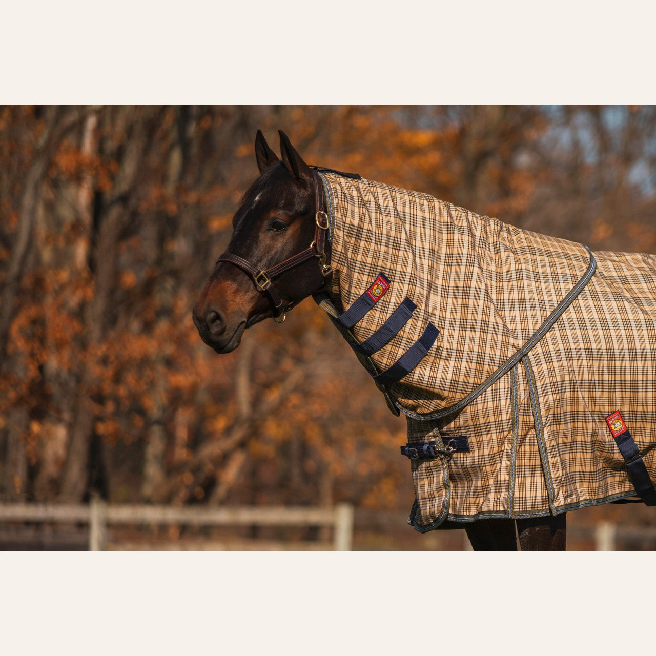 5/A Baker Neck Cover for Turnout Blanket Extreme