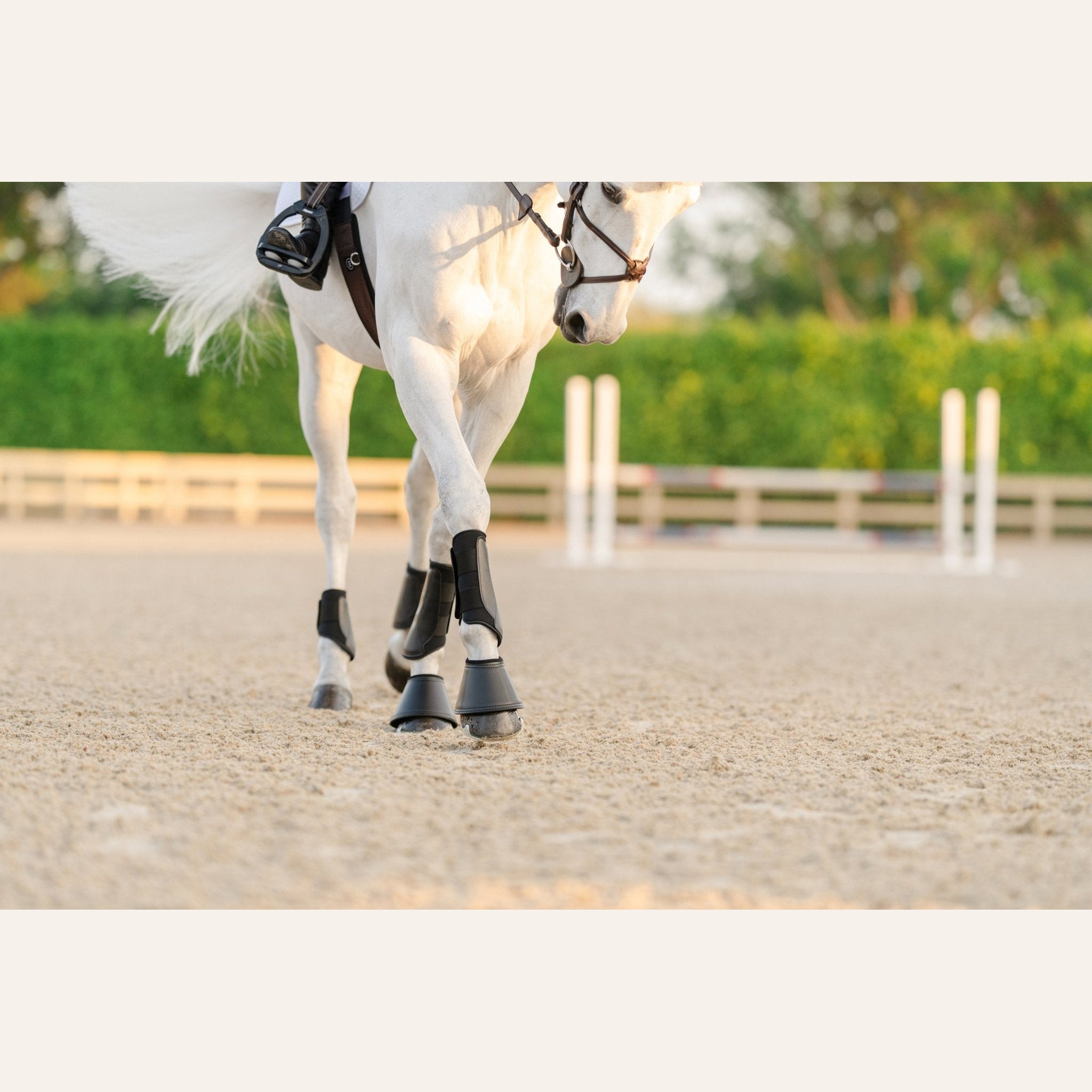 EquiFit Essential EveryDay Hind Boot