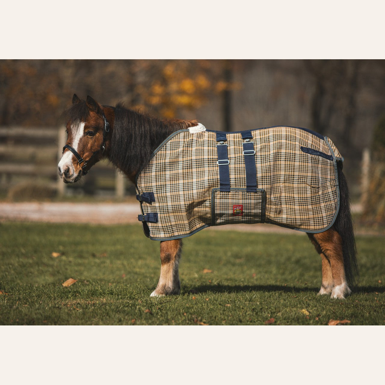 5/A Baker Mini PVC Mesh Fly Sheet