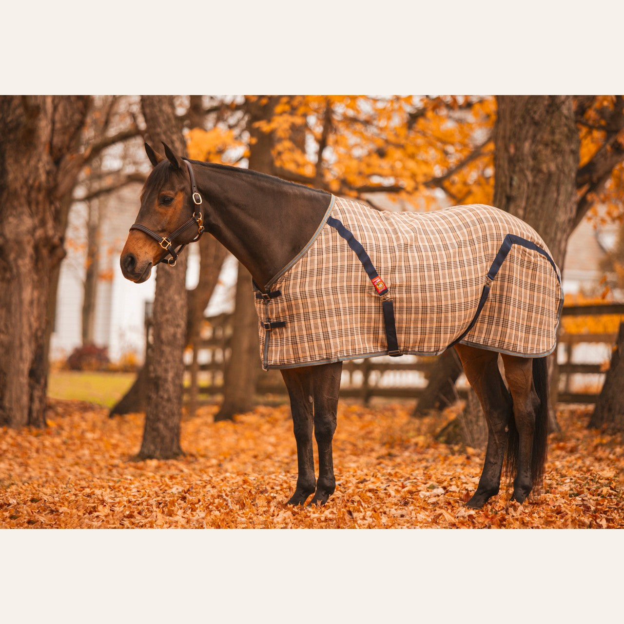 5/A Baker Stable Sheet