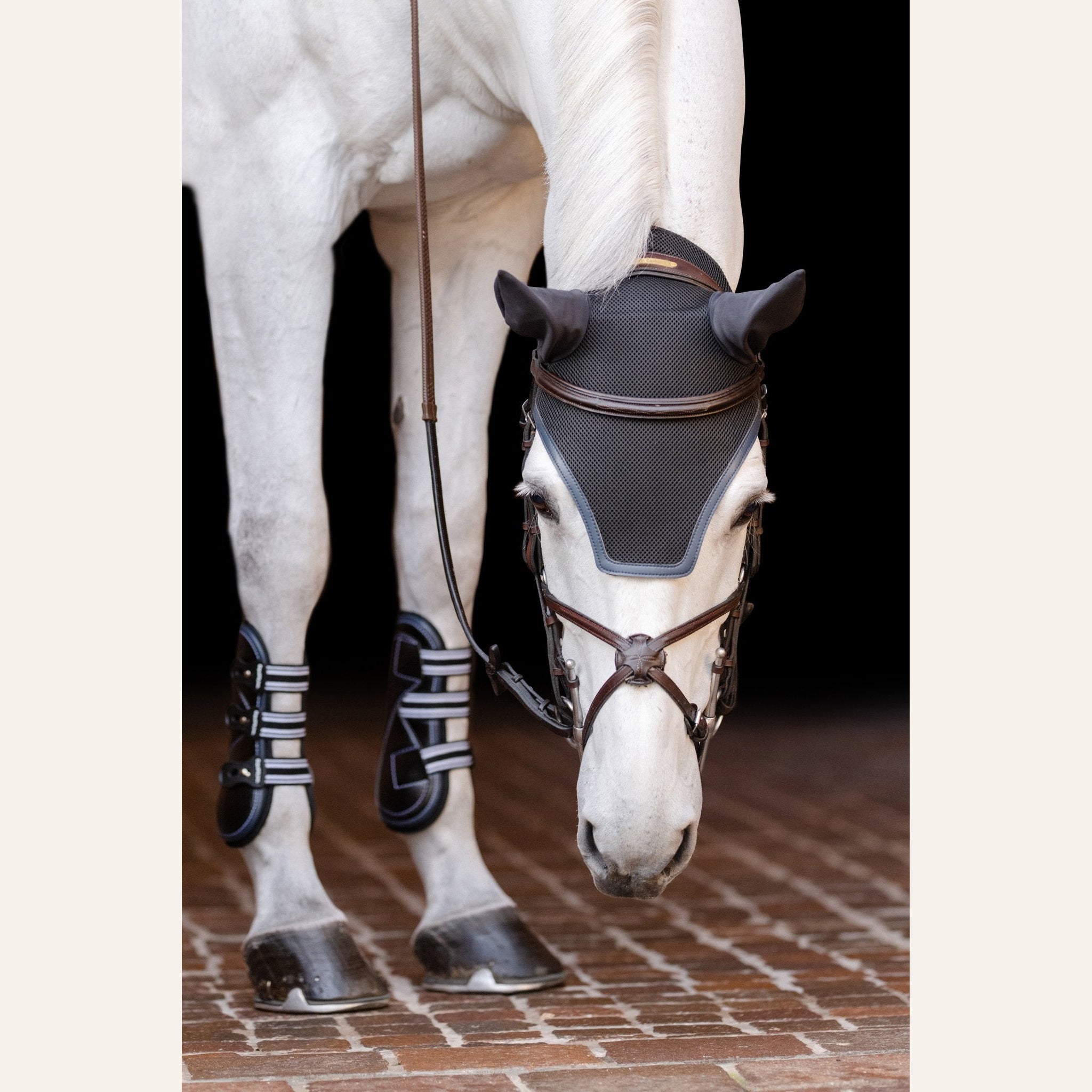EquiFit Ear Bonnet