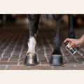 EquiFit AgSilver Daily Strength CleanSpray