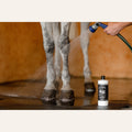 EquiFit AgSilver Maximum Strength CleanWash