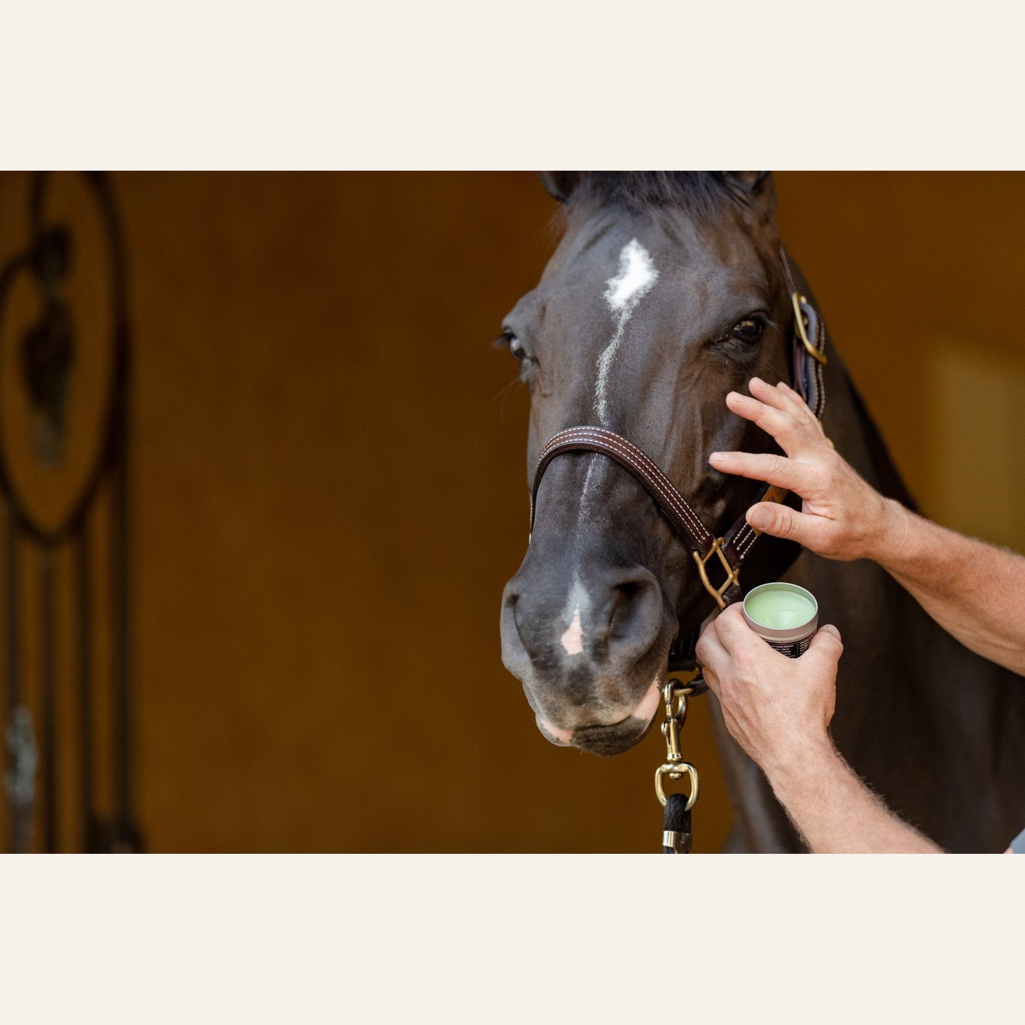 EquiFit AgSilver CleanBalm