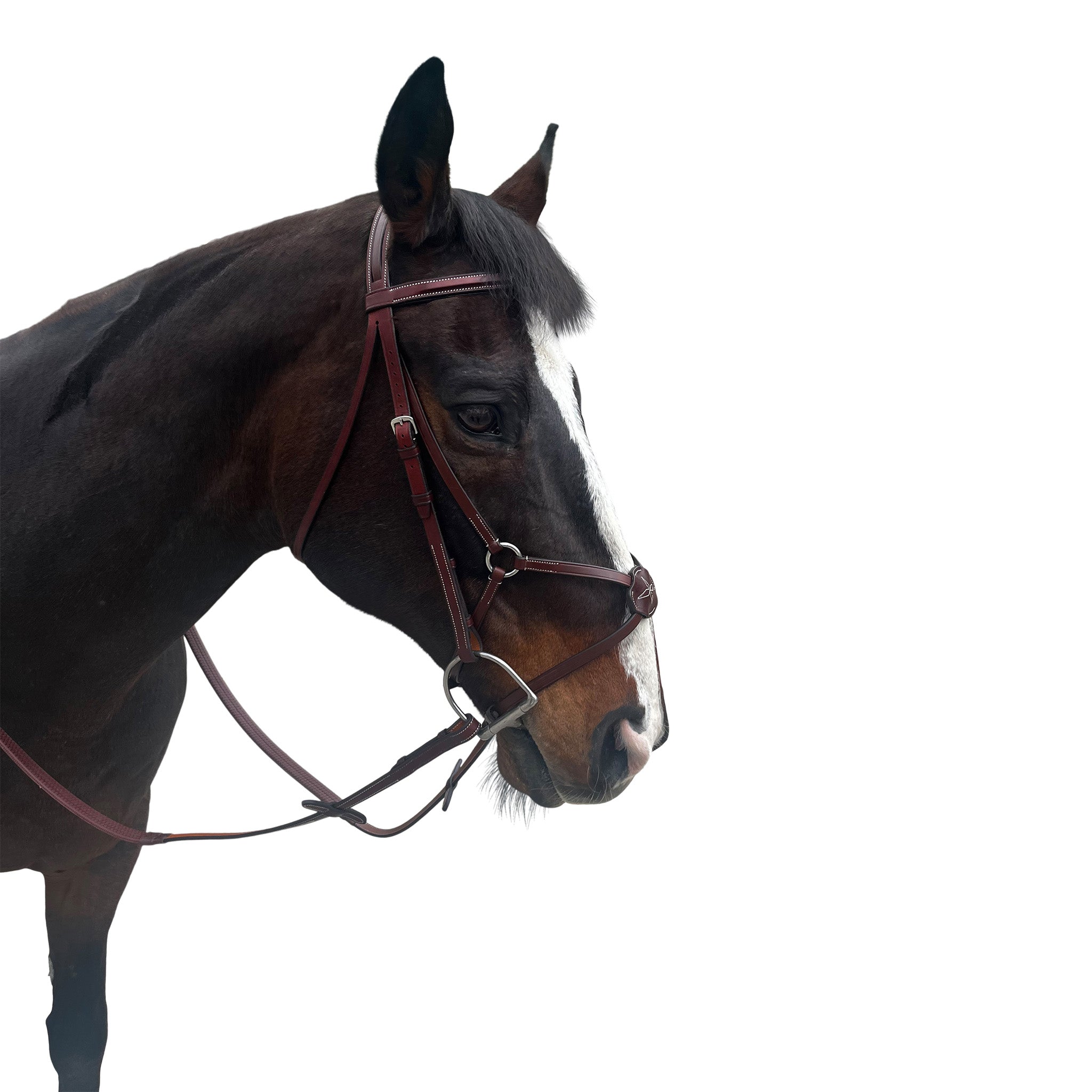 Allon Figure 8 Bridle with Passthrough Noseband