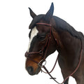 Allon Figure 8 Bridle with Passthrough Noseband