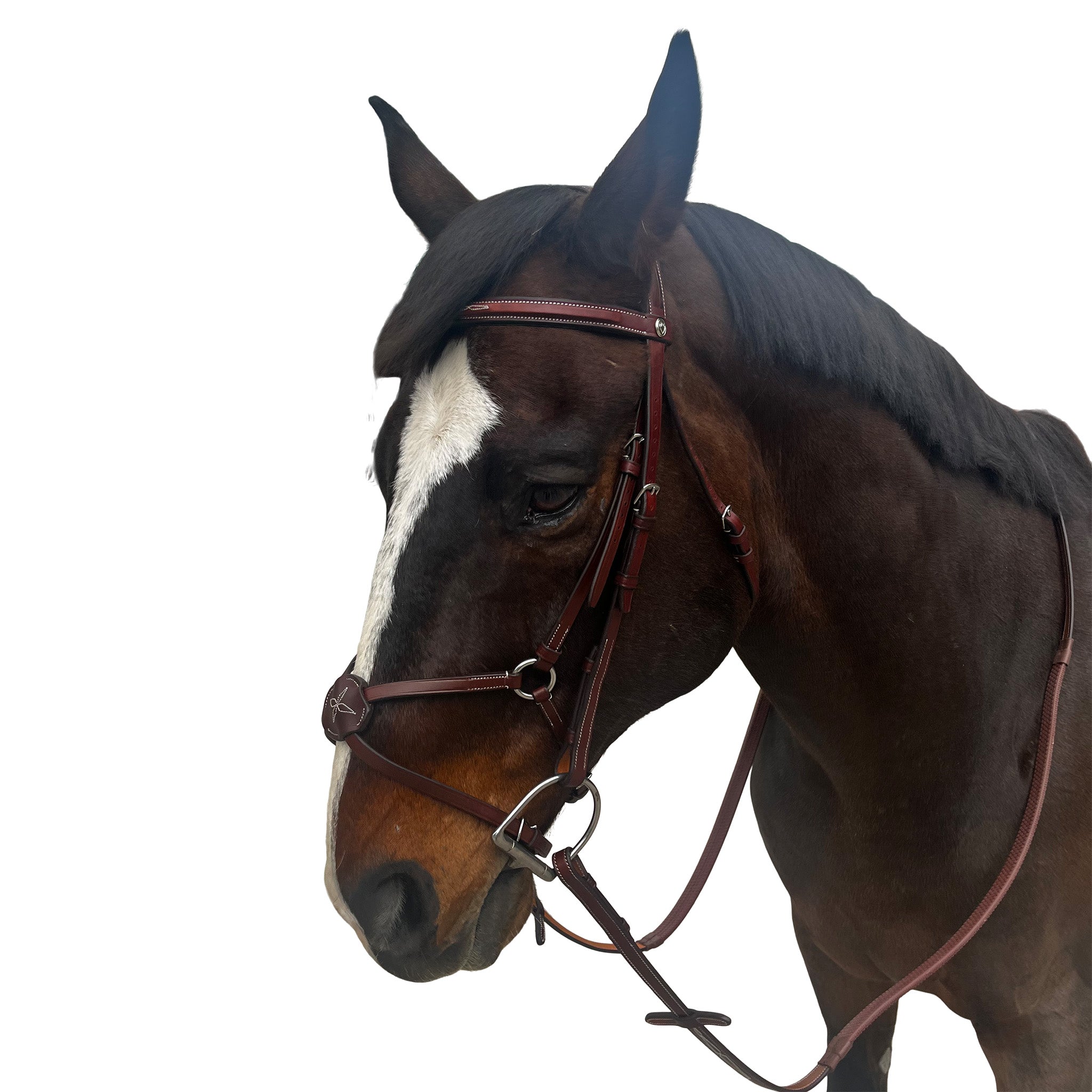 Allon Figure 8 Bridle with Passthrough Noseband