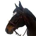 Allon Jumper Bridle with Passthrough Noseband