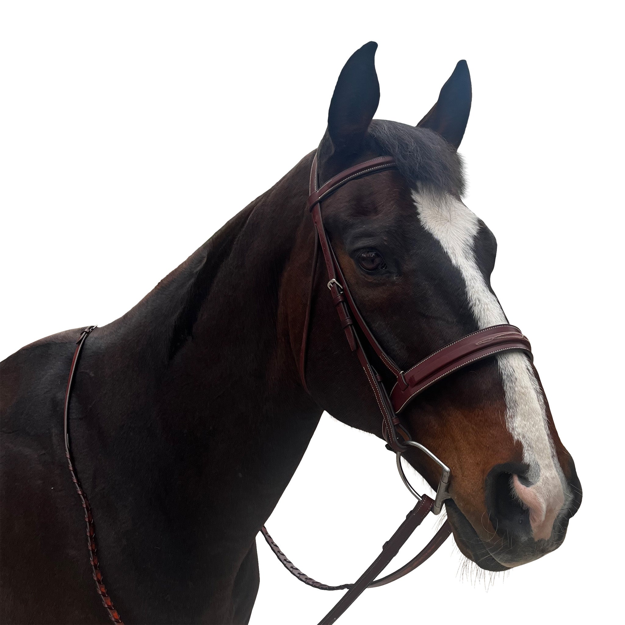 Allon Hunter Bridle with Wide Passthrough Noseband