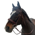 Allon Hunter Bridle with Wide Passthrough Noseband