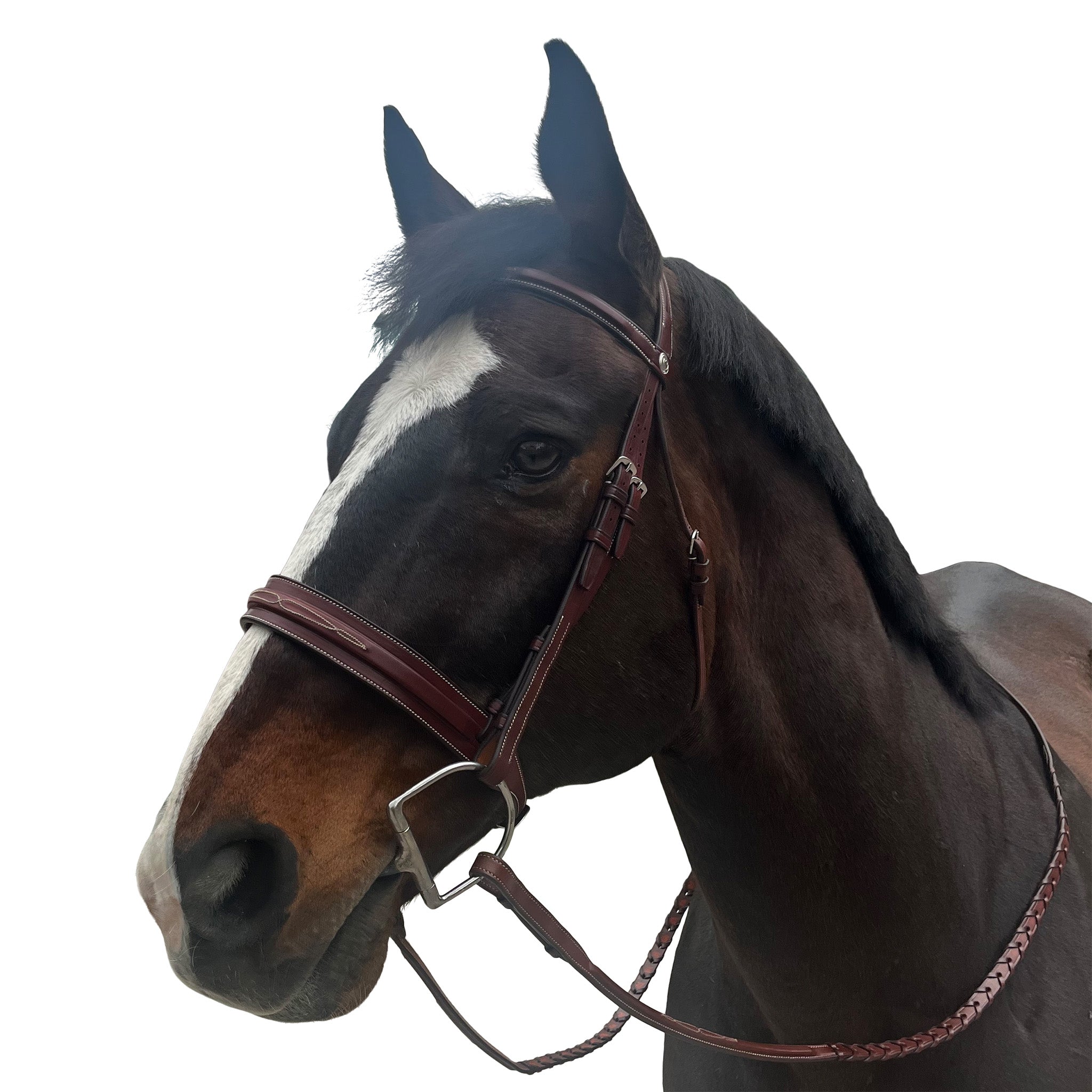 Allon Hunter Bridle with Wide Passthrough Noseband
