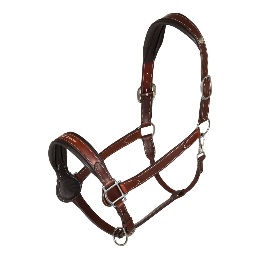 Halters & Leads